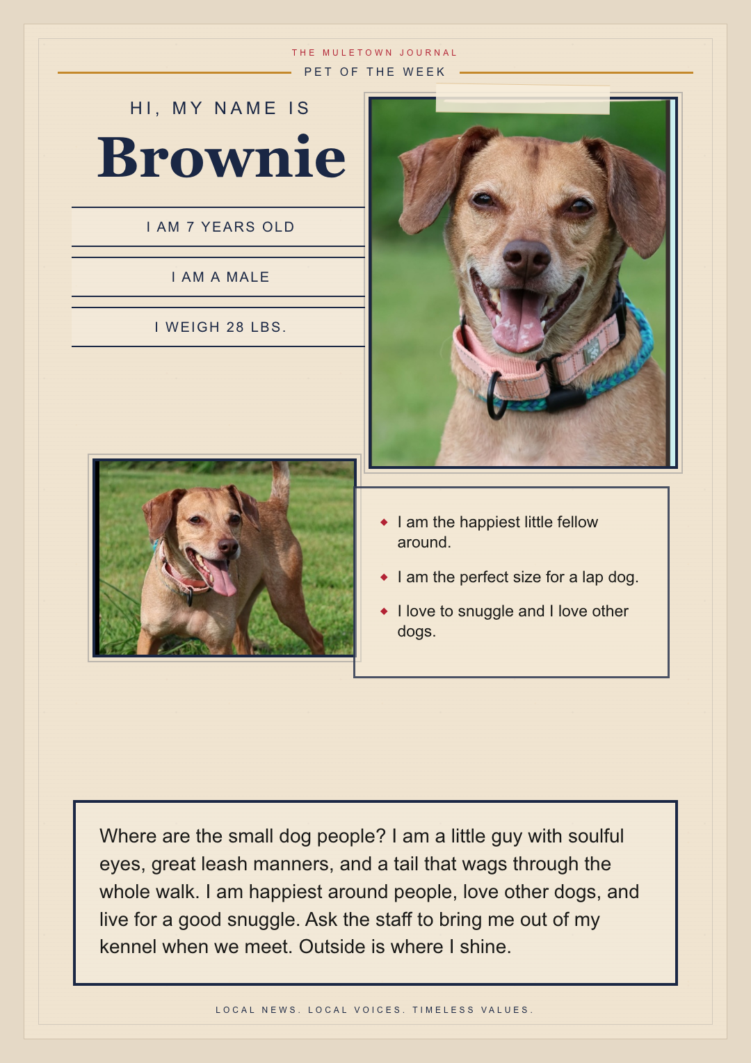 Brownie